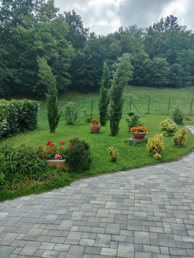 Casa Relax Immersa Nel Verde Della Natura Casalborgone Exteriér fotografie