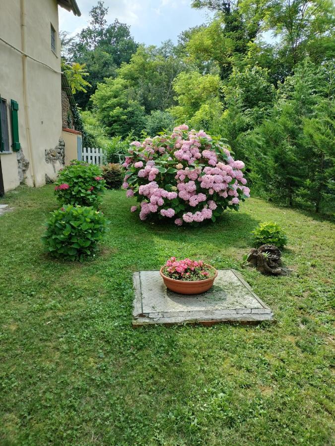 Casa Relax Immersa Nel Verde Della Natura Casalborgone Exteriér fotografie