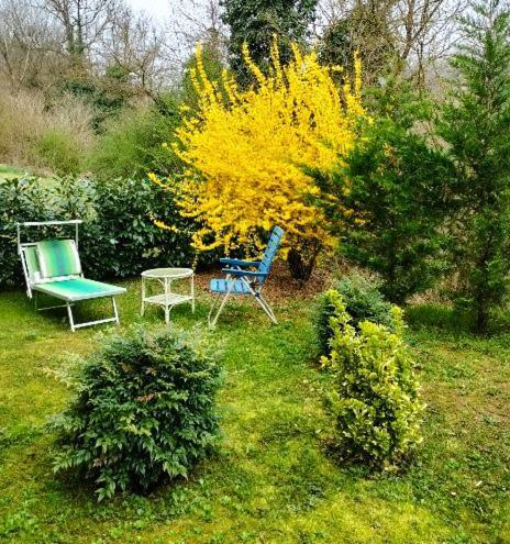 Casa Relax Immersa Nel Verde Della Natura Casalborgone Exteriér fotografie